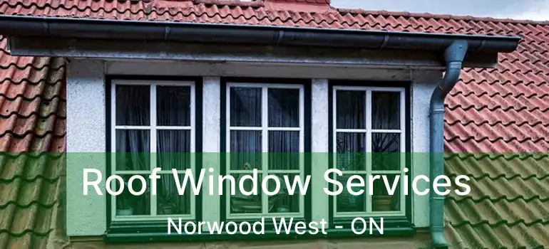  Roof Window Services Norwood West - ON