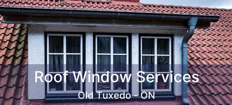  Roof Window Services Old Tuxedo - ON
