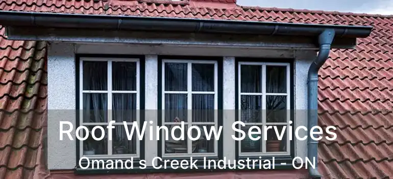  Roof Window Services Omand s Creek Industrial - ON