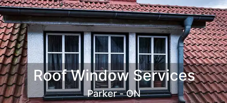  Roof Window Services Parker - ON