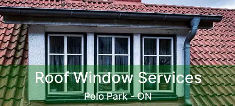  Roof Window Services Polo Park - ON