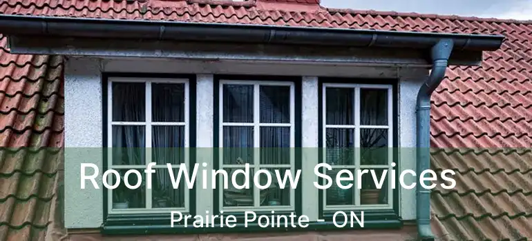  Roof Window Services Prairie Pointe - ON