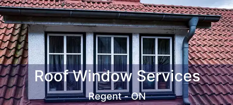  Roof Window Services Regent - ON