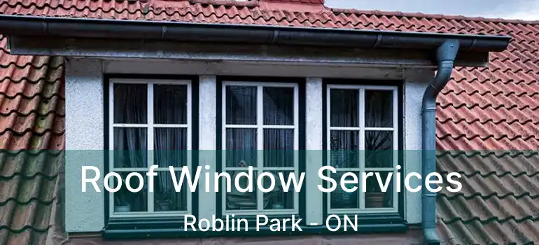  Roof Window Services Roblin Park - ON