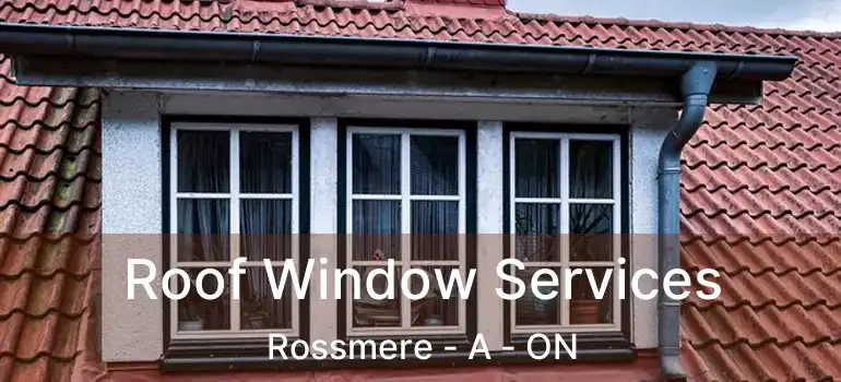  Roof Window Services Rossmere - A - ON