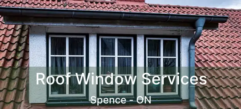  Roof Window Services Spence - ON