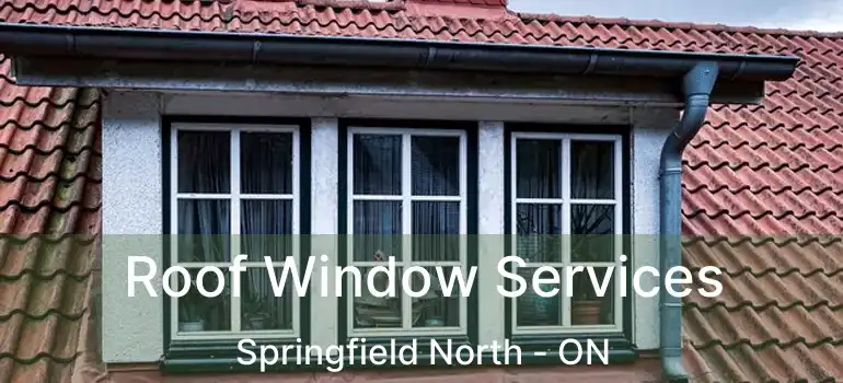  Roof Window Services Springfield North - ON