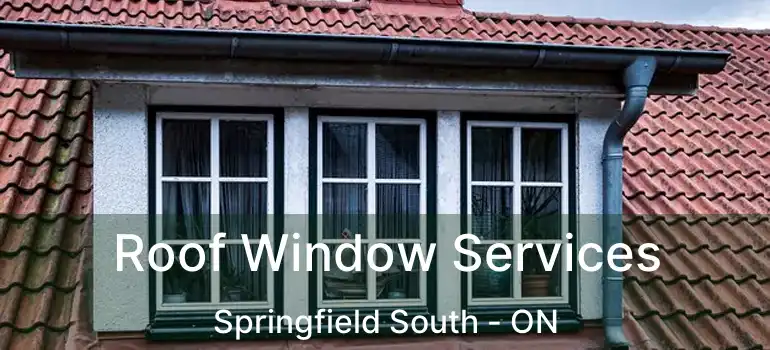  Roof Window Services Springfield South - ON