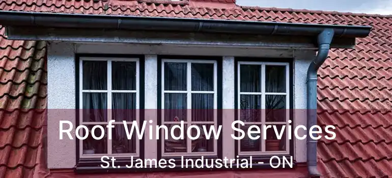  Roof Window Services St. James Industrial - ON