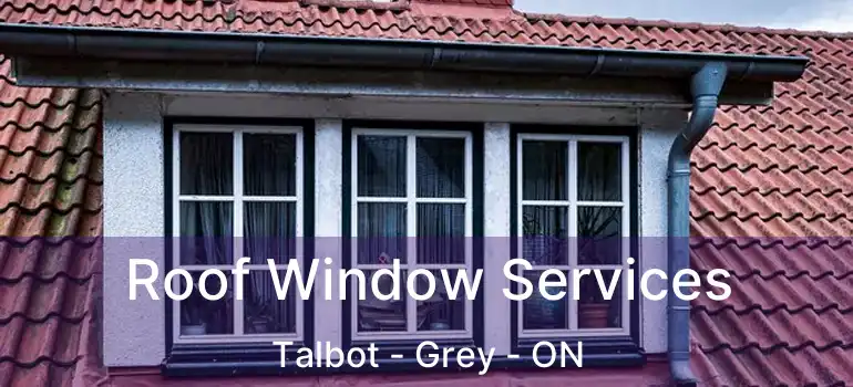  Roof Window Services Talbot - Grey - ON