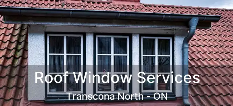  Roof Window Services Transcona North - ON