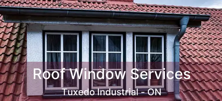  Roof Window Services Tuxedo Industrial - ON
