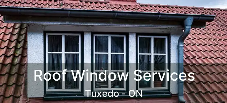  Roof Window Services Tuxedo - ON