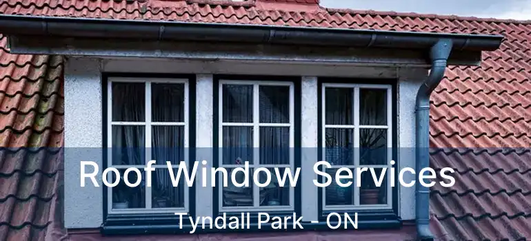  Roof Window Services Tyndall Park - ON