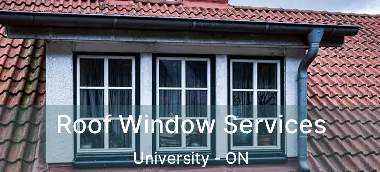  Roof Window Services University - ON