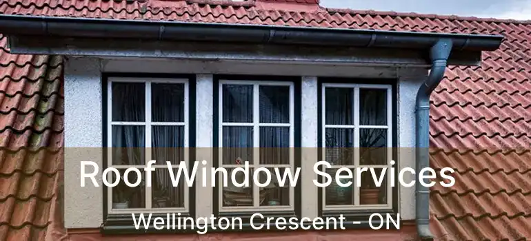  Roof Window Services Wellington Crescent - ON