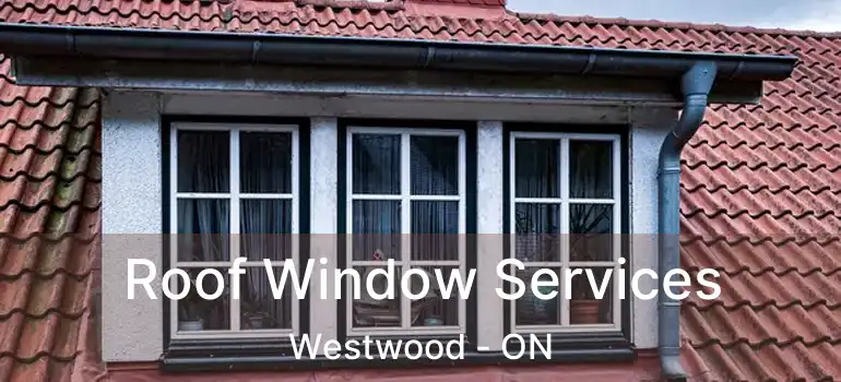  Roof Window Services Westwood - ON