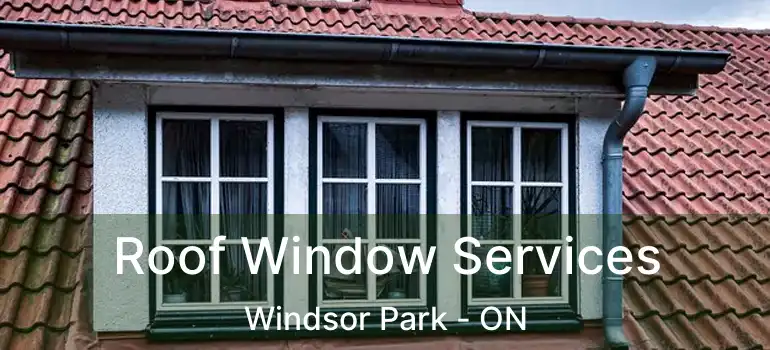  Roof Window Services Windsor Park - ON