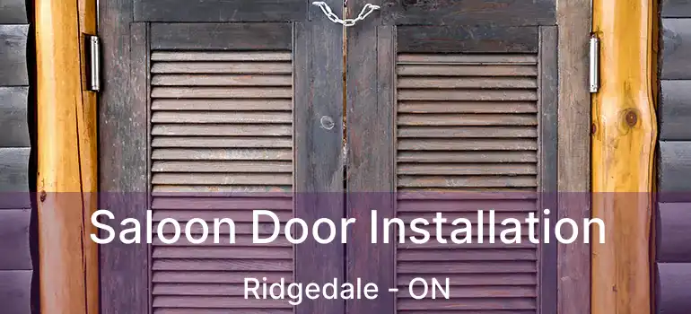  Saloon Door Installation Ridgedale - ON