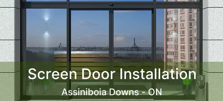  Screen Door Installation Assiniboia Downs - ON