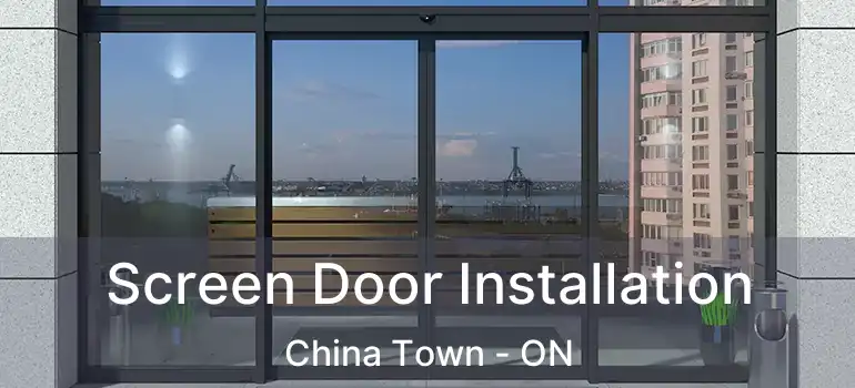  Screen Door Installation China Town - ON