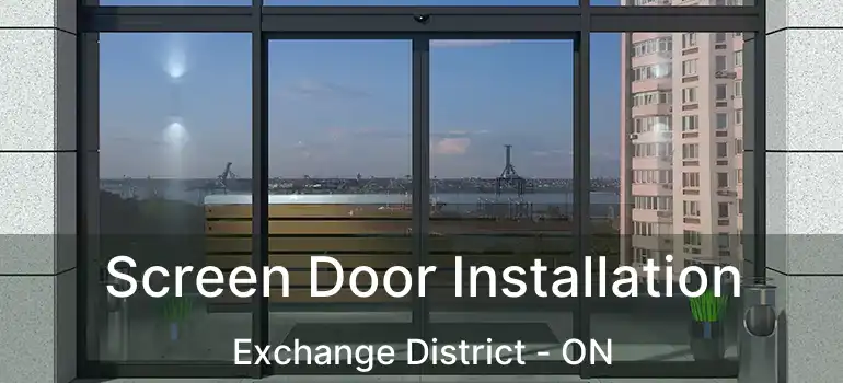  Screen Door Installation Exchange District - ON