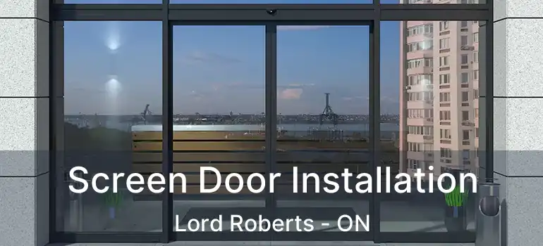  Screen Door Installation Lord Roberts - ON