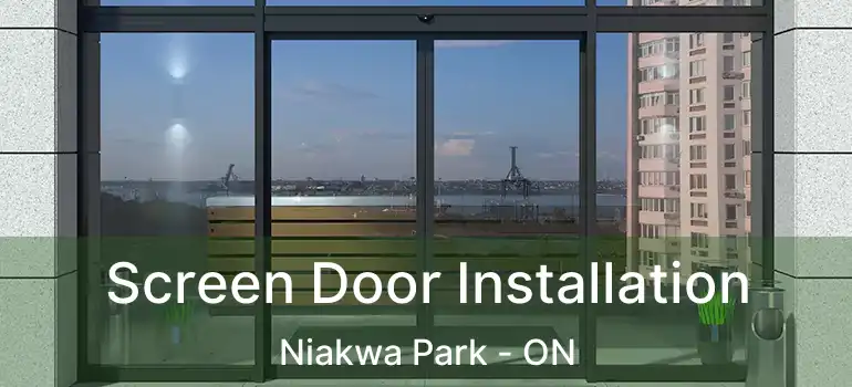  Screen Door Installation Niakwa Park - ON