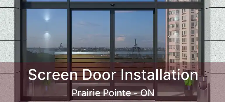  Screen Door Installation Prairie Pointe - ON