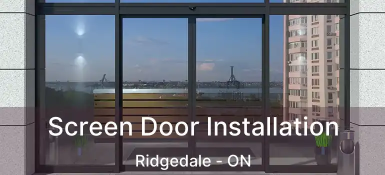  Screen Door Installation Ridgedale - ON