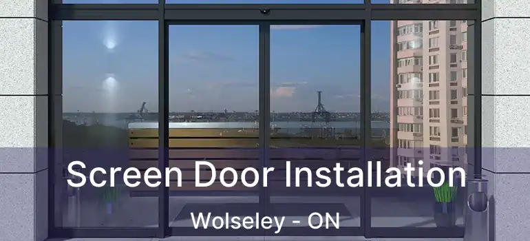  Screen Door Installation Wolseley - ON