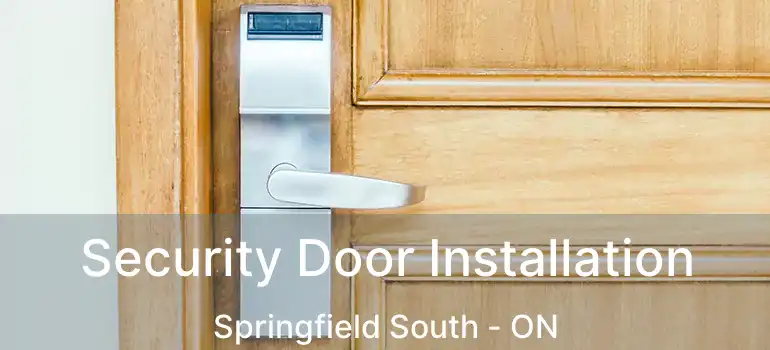  Security Door Installation Springfield South - ON