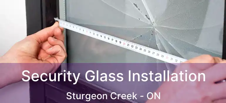  Security Glass Installation Sturgeon Creek - ON