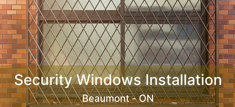  Security Windows Installation Beaumont - ON