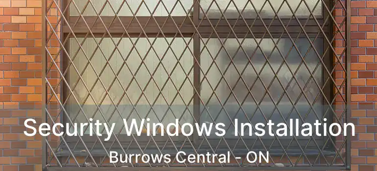  Security Windows Installation Burrows Central - ON