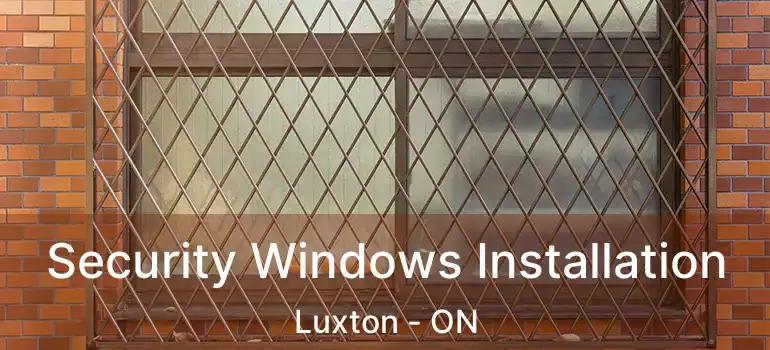  Security Windows Installation Luxton - ON