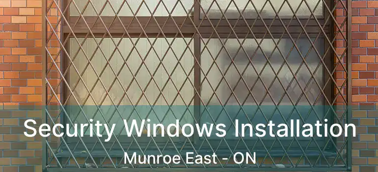  Security Windows Installation Munroe East - ON