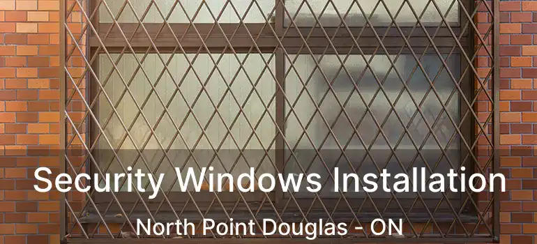  Security Windows Installation North Point Douglas - ON