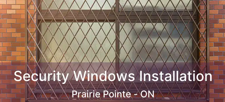  Security Windows Installation Prairie Pointe - ON