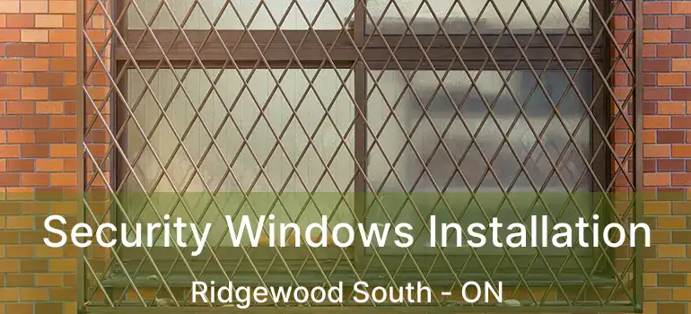  Security Windows Installation Ridgewood South - ON