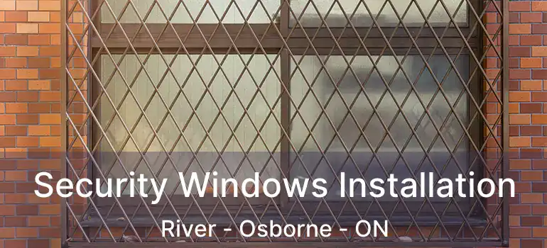  Security Windows Installation River - Osborne - ON
