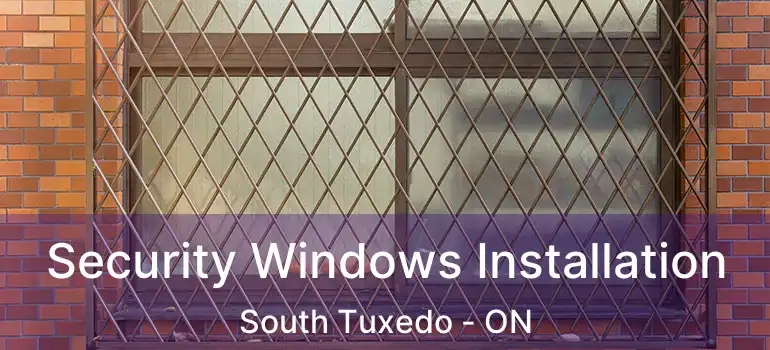  Security Windows Installation South Tuxedo - ON