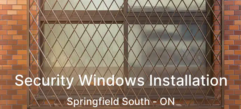  Security Windows Installation Springfield South - ON