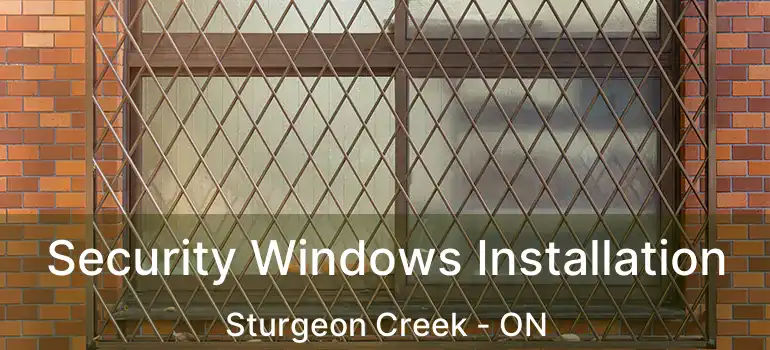  Security Windows Installation Sturgeon Creek - ON