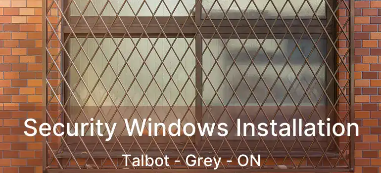  Security Windows Installation Talbot - Grey - ON