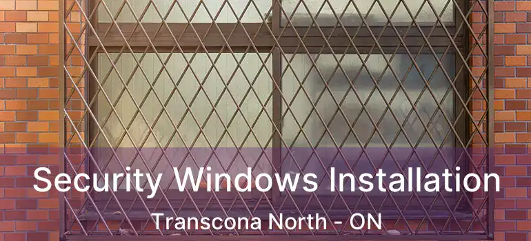  Security Windows Installation Transcona North - ON