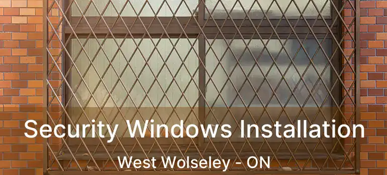  Security Windows Installation West Wolseley - ON