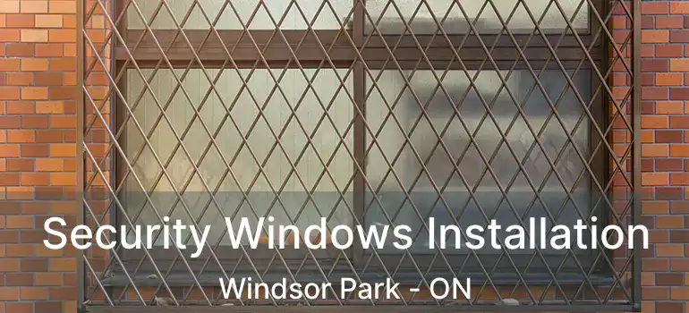  Security Windows Installation Windsor Park - ON