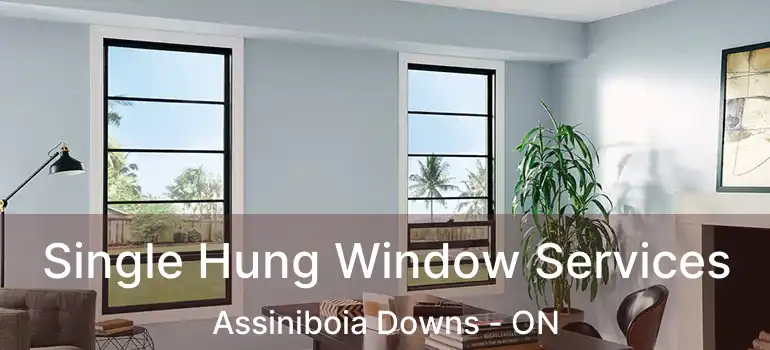  Single Hung Window Services Assiniboia Downs - ON