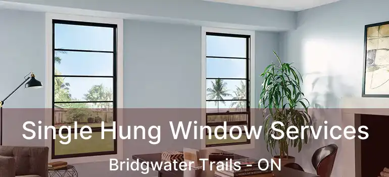  Single Hung Window Services Bridgwater Trails - ON